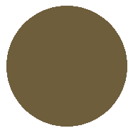 Bronze Olive